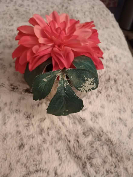 Photo of free Fake flowers in a bowl (Ringoes) #1