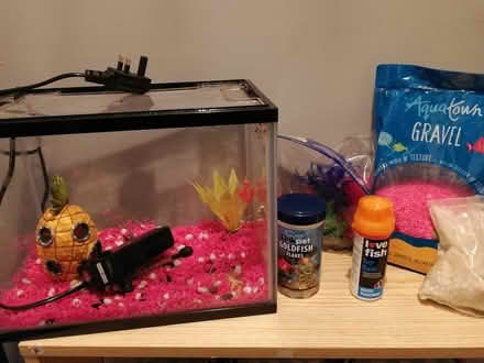 Photo of free Fish tank (Millisle, BT22) #1