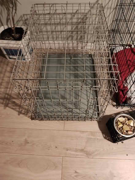 Photo of free Dog Crate (Stratford) #2