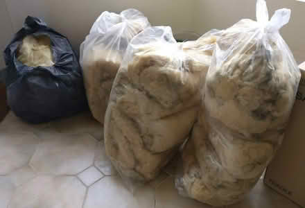 Photo of free Old loft insulation (bagged) (Lincombe Slopes TQ1) #1