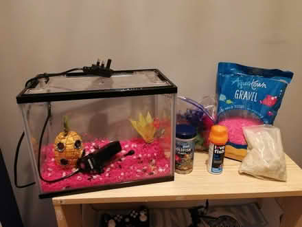 Photo of free Fish tank (Millisle, BT22) #2