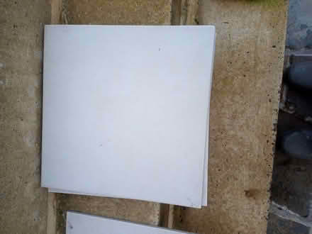 Photo of free Floor tiles (Stirling FK8) #1
