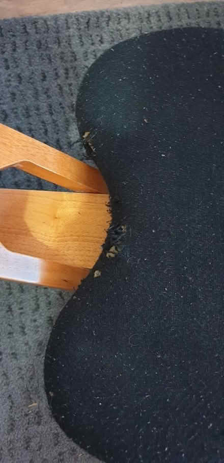 Photo of free Kneeling chair (Abertridwr CF83) #2