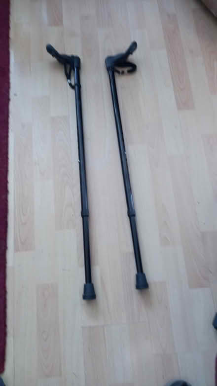 Photo of free walking sticks (Coton CB23) #1