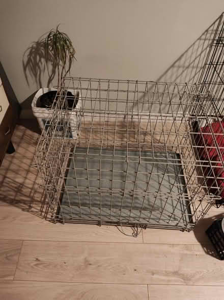 Photo of free Dog Crate (Stratford) #1
