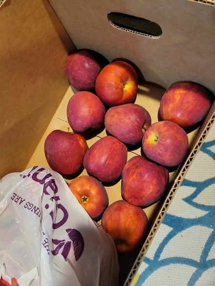 Photo of free 20 Apples (District Heights MD) #1