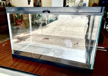 Photo of free Reptile Glass Vivarium (Midtown Palo Alto) #1