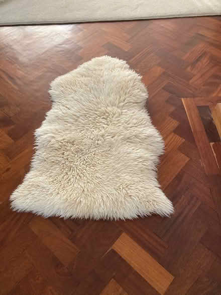 Photo of free Sheepskin (Bennett’s end) #1
