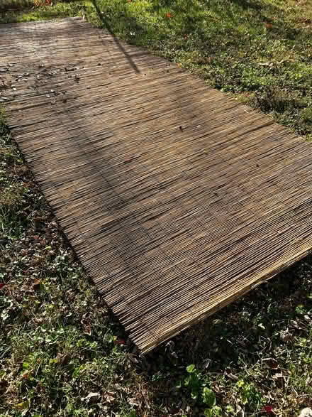 Photo of free Willow privacy screen (Germantown near train station) #2