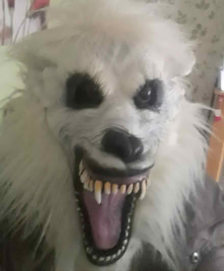 Photo of free Werewolf mask (West Twerton BA2) #1