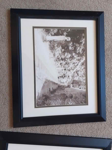 Photo of free Framed pictures (Belper DE56) #1