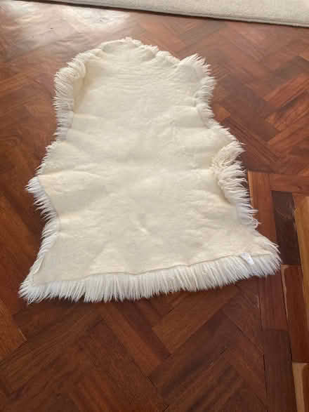 Photo of free Sheepskin (Bennett’s end) #2