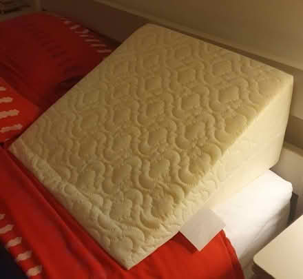 Photo of free Bed wedge-shaped orthopaedic back support (Canning Town E16) #1