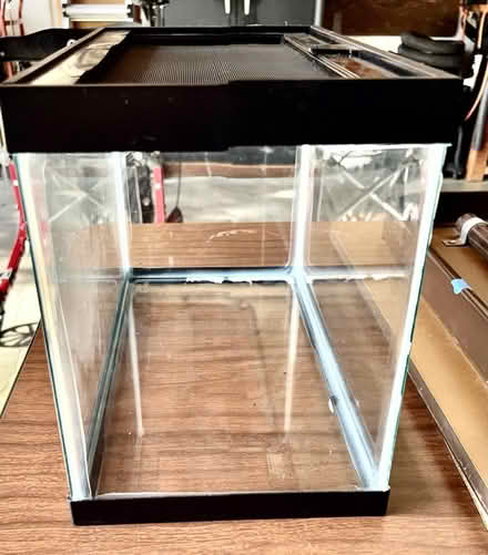 Photo of free Reptile Glass Vivarium (Midtown Palo Alto) #2
