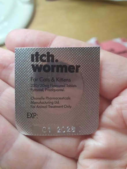 Photo of free Flea & worm treatment for cats (Beckton E6) #4