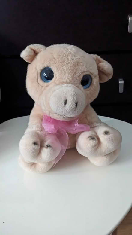 Photo of free Soft Toy Piggy for a nice home (Bayswater W2) #1