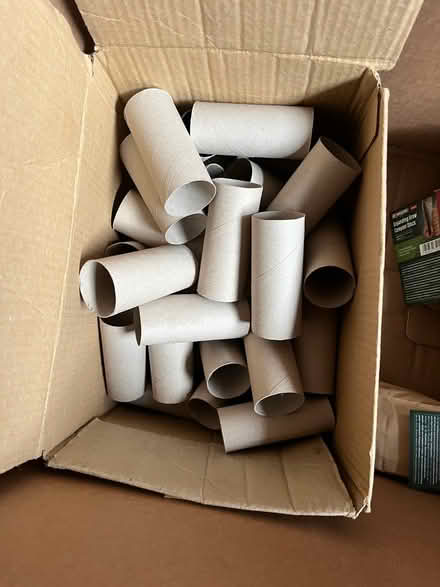 Photo of free Lots of toilet roll inners (WA1) #1