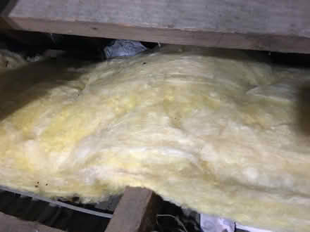 Photo of free Loft Insulation (SN3 1) #1
