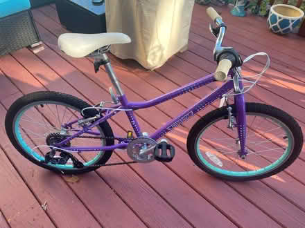 Photo of free kids bike (Rebel Walk Drive) #1