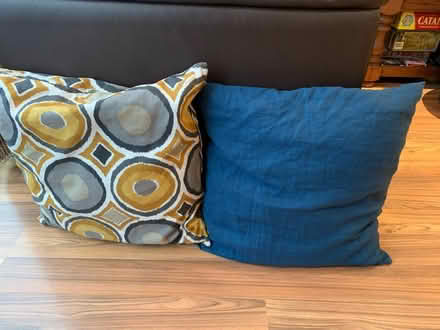 Photo of free Two cushions (Walthamstow E17) #1