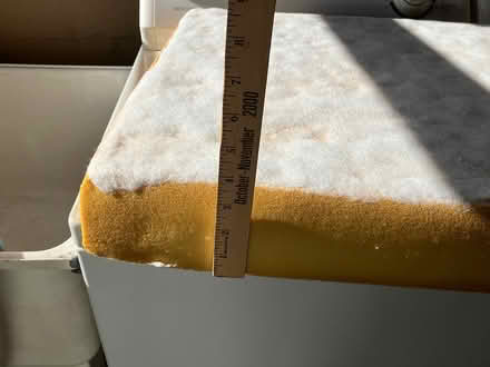 Photo of free Old couch seat cushions (Ventura) #3