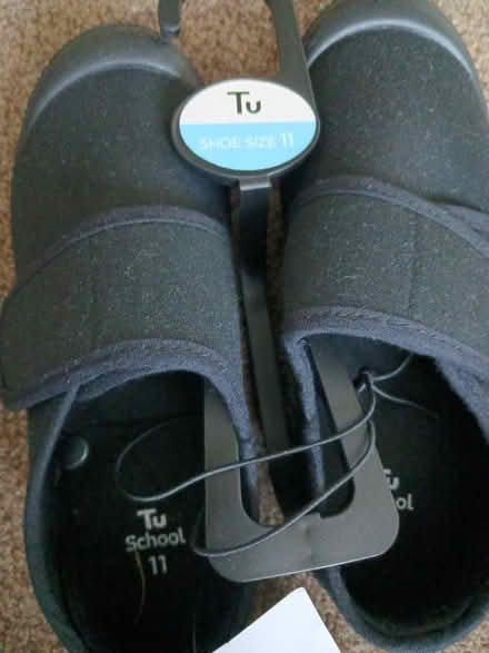 Photo of free Plimsolls (size 11) (Cutteslowe OX2) #1