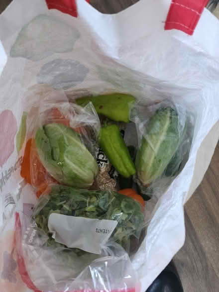 Photo of free Variety of veggies (Bloomfield) #1