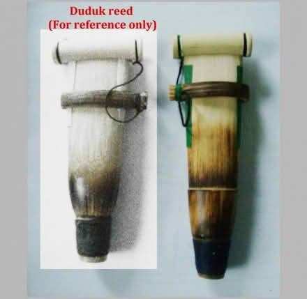 Photo of free Reed of unknown origin (Cowley OX4) #1