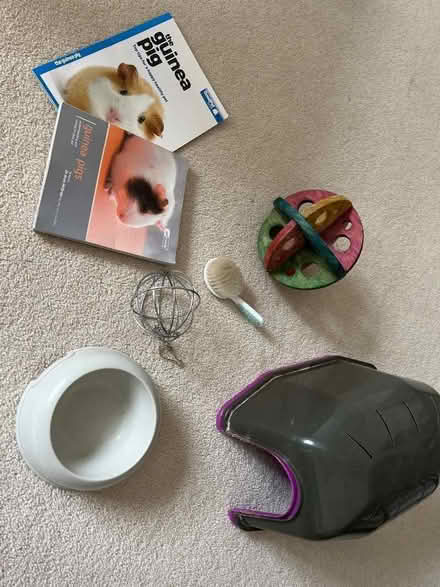 Photo of free Lots of Guinea pig stuff (Sevenoaks TN13) #1