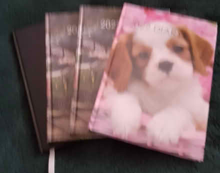Photo of free 2022 diaries (Dundee DD3) #1