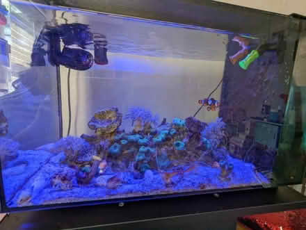 Photo of free marine nano tank (L6) #2