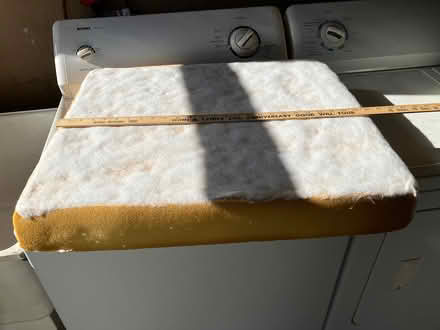 Photo of free Old couch seat cushions (Ventura) #1