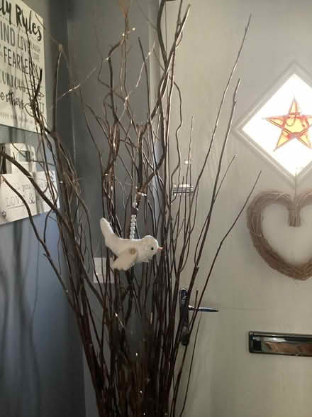 Photo of free wicker vase with twigs (Southport PR9) #3