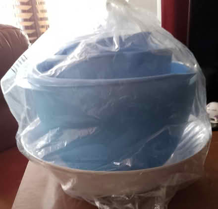 Photo of free Bowls (Dundee DD3) #3