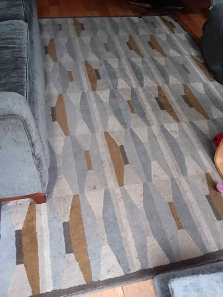 Photo of free IKEA rug (Harborne B17) #2