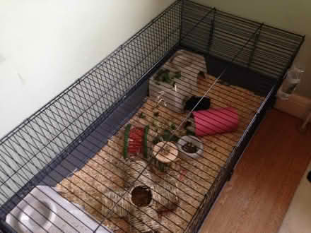 Photo of free Large Guinea pig/ rabbit cage (Sevenoaks TN13) #1
