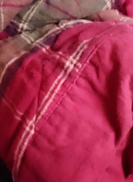 Photo of free Quilted bed cover (Dundee DD3) #1