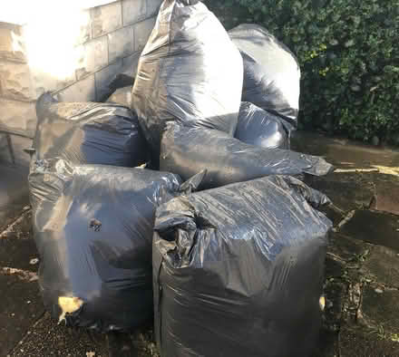Photo of free Loft Insulation (SN3 1) #2