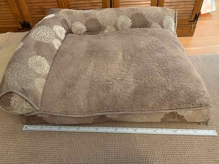 Photo of free Dog bed (San Carlos (Highlands)) #1