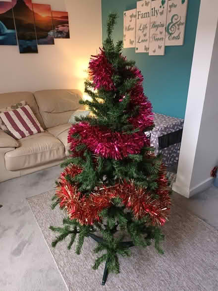 Photo of free 5ft Christmas Tree (AL4) #1