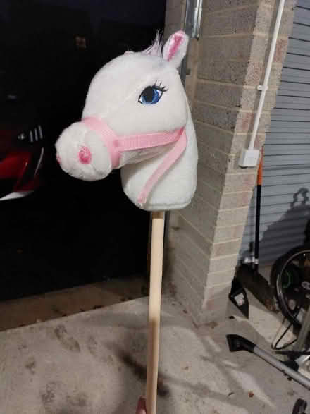 Photo of free Kids ride on horse (Aykley Heads DH1) #1