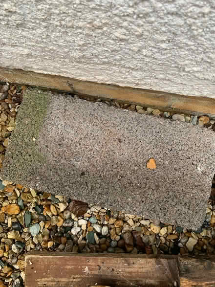 Photo of free Breeze blocks (Frampton Cotterell) #1