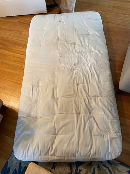 Photo of free Single Futon Mattress (Newton Hill) #1