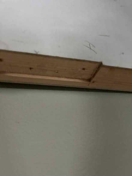 Photo of free Internal regulation Fire door (TW11 - Teddington) #3