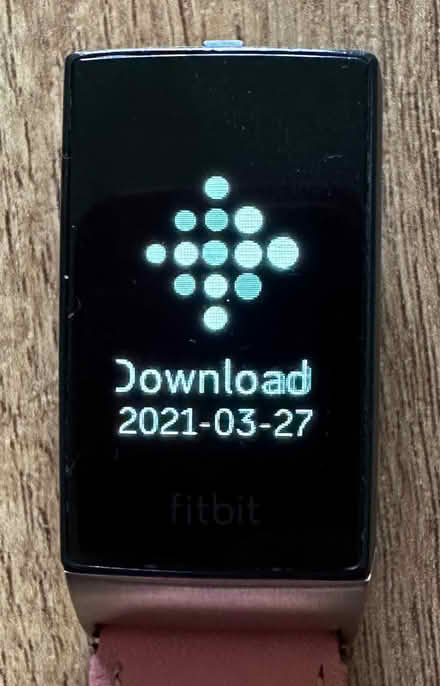 Photo of free Fitbit Fitness Tracker (Denby DE5) #1
