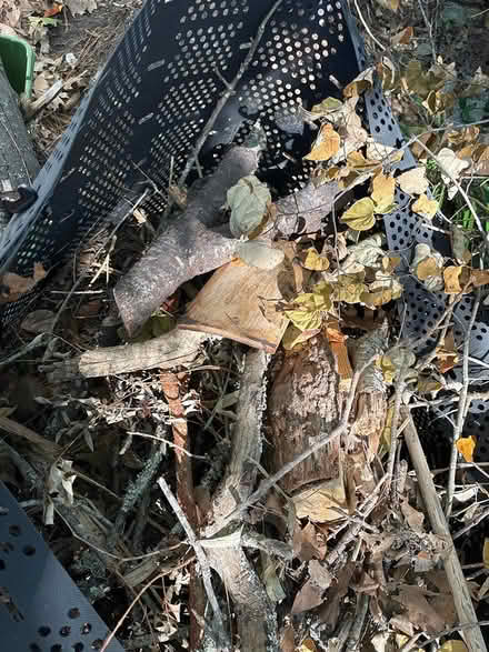Photo of free Firewood (412 Ingleside Ave. Tallahasse.) #3