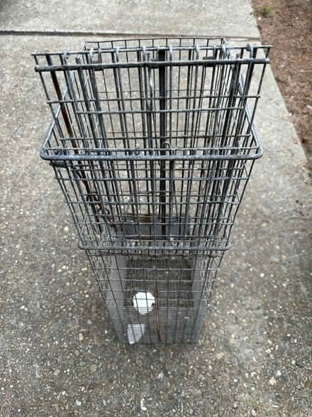 Photo of free Live animal trap (Park Pacifica) #1