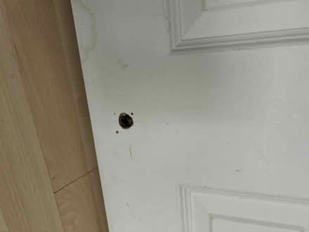 Photo of free Internal regulation Fire door (TW11 - Teddington) #2