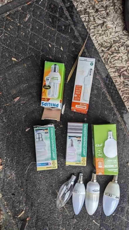 Photo of free Bulbs lights lamps joblot (Offham BN7) #1