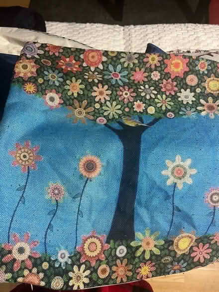 Photo of free Cushion covers (N19) #4